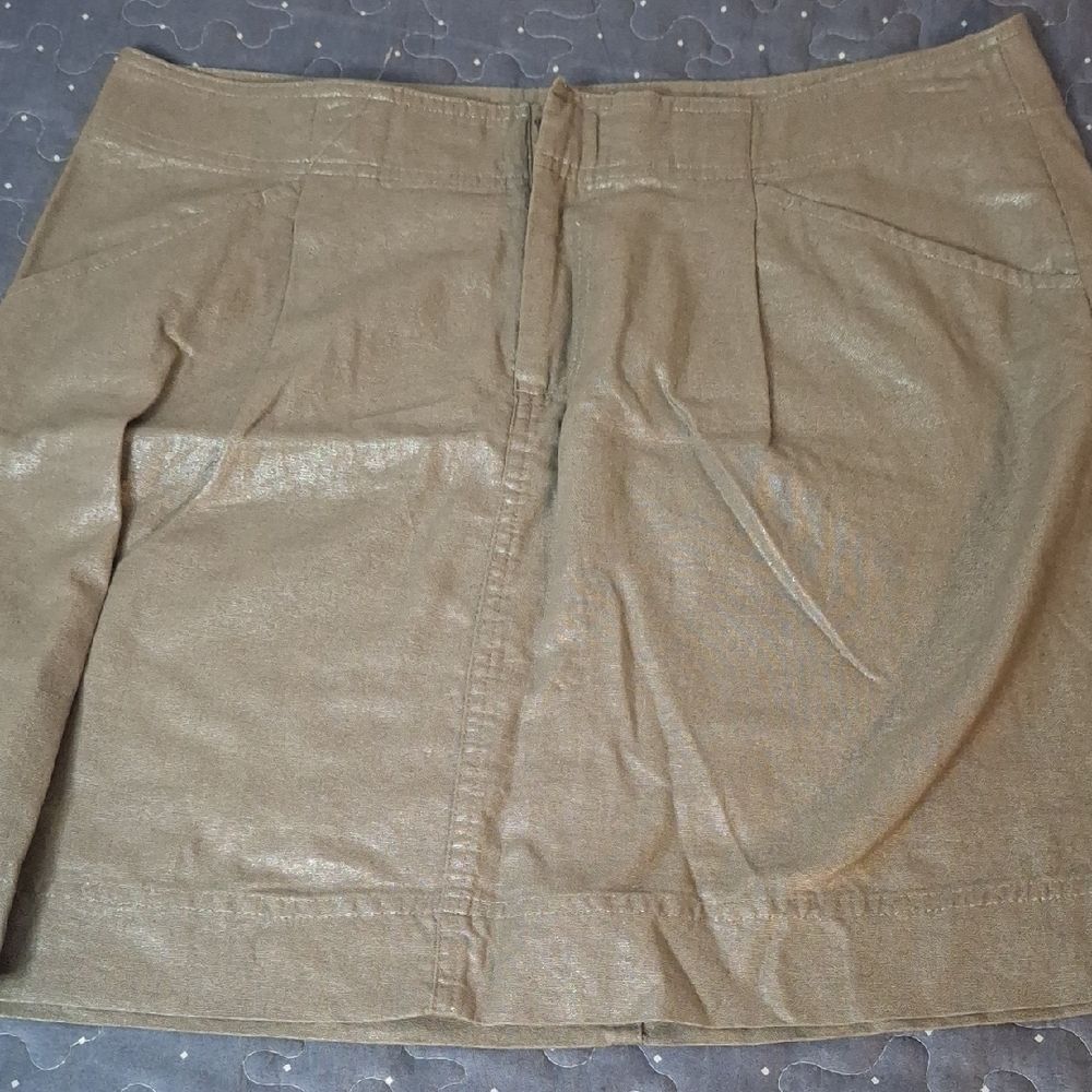 Ann Taylor Metallic Skirt size 10